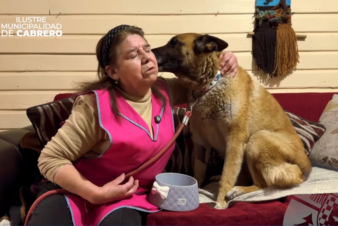 EMOTIVO REENCUENTRO DE MASCOTA